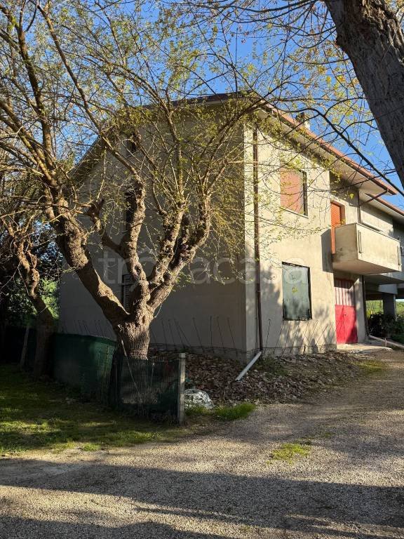 casa indipendente in vendita a Senigallia