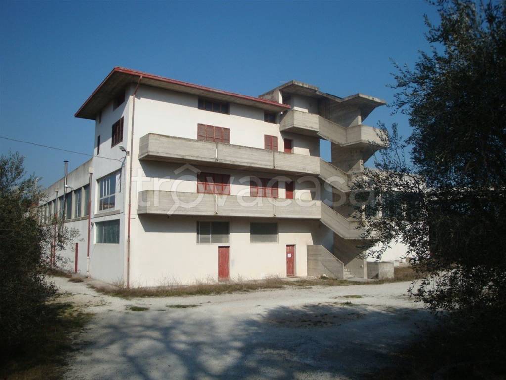 casa indipendente in vendita a Senigallia