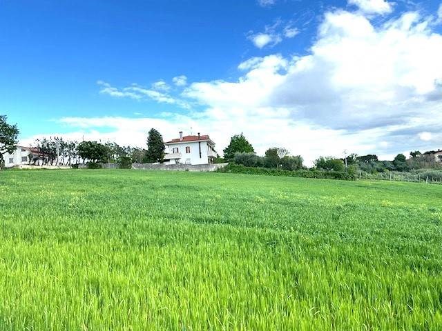 terreno agricolo in vendita a Senigallia in zona Mandriola