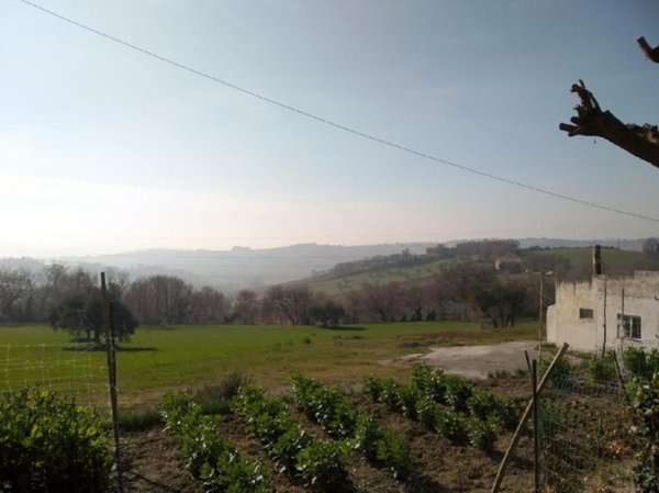 terreno agricolo in vendita a Senigallia in zona Scapezzano