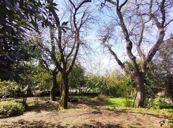 casa indipendente in vendita a Senigallia in zona Borgo Passera