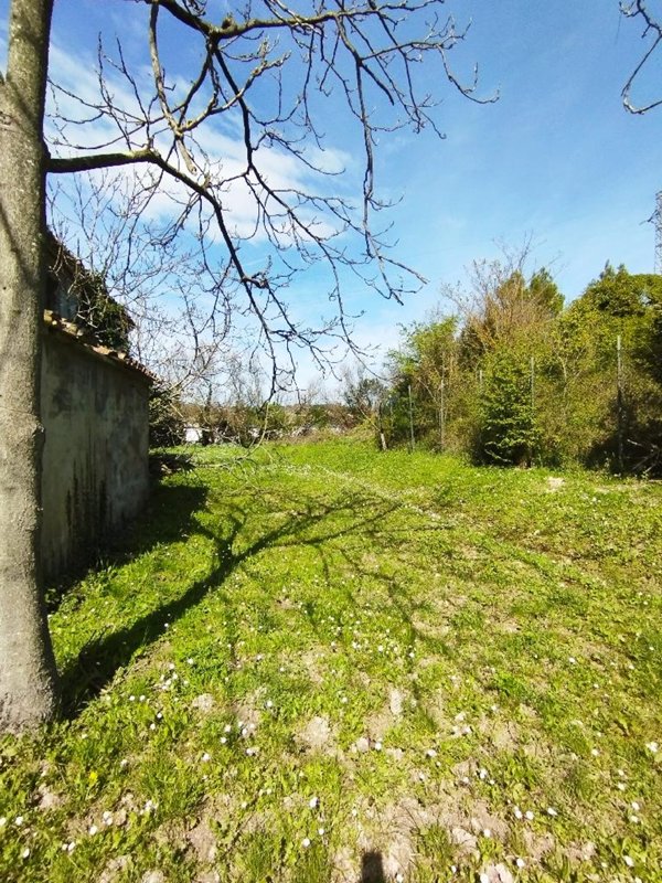 casa indipendente in vendita a Senigallia