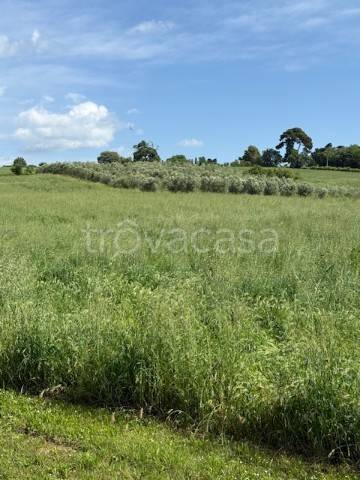 terreno agricolo in vendita a Senigallia