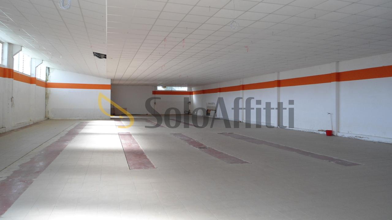 appartamento in vendita a Senigallia