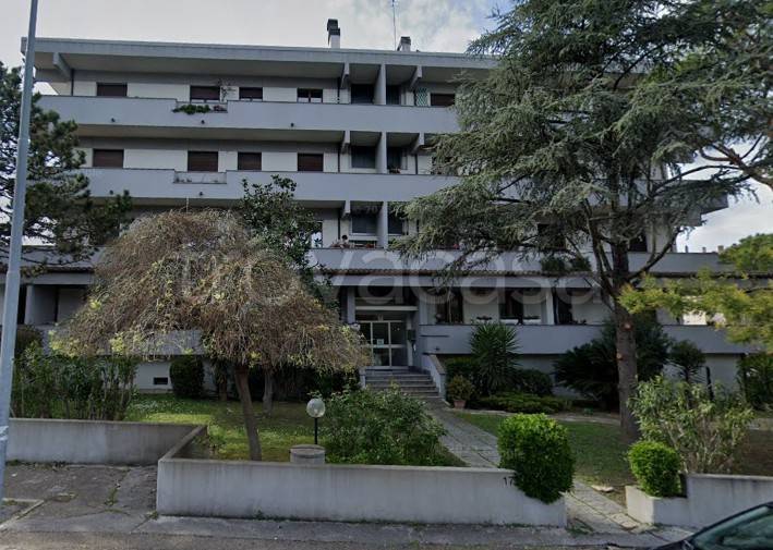 appartamento in vendita a Senigallia