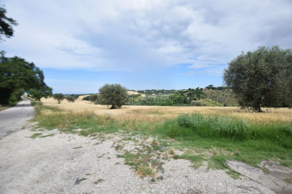 terreno agricolo in vendita a Senigallia in zona Scapezzano