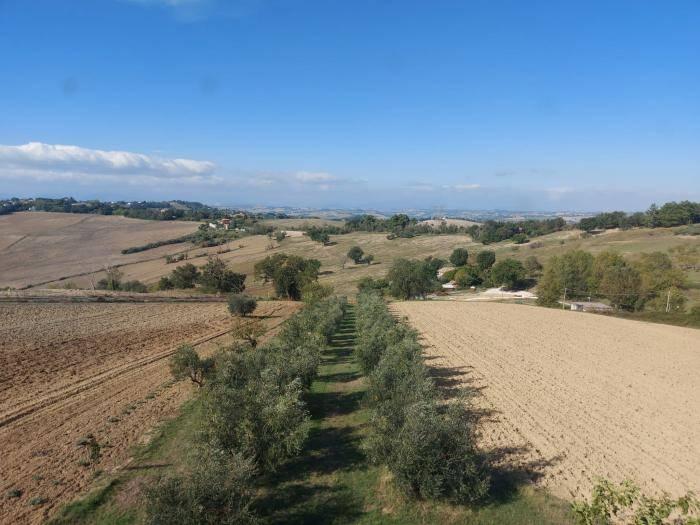 casa indipendente in vendita a Senigallia in zona San Silvestro