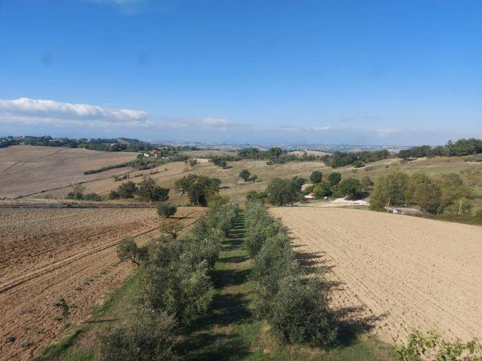 casa indipendente in vendita a Senigallia in zona San Silvestro