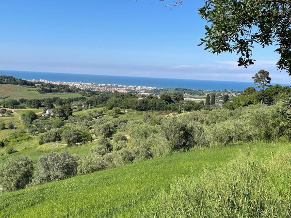 esavano in vendita a Senigallia in zona Sant'Angelo