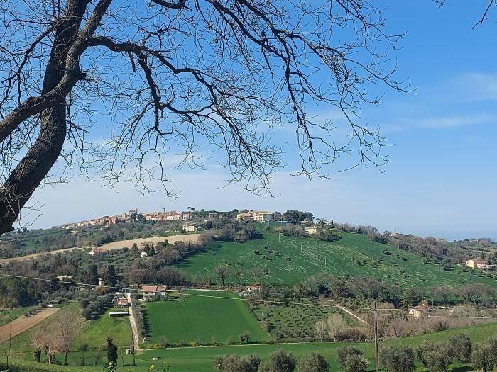 casa indipendente in vendita a Senigallia in zona Scapezzano