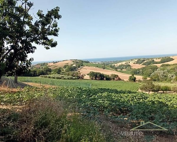 terreno agricolo in vendita a Senigallia in zona Scapezzano