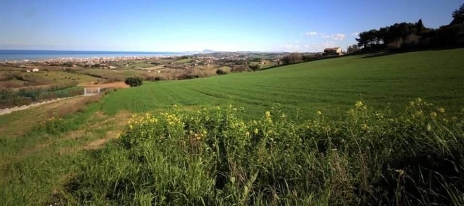 casa indipendente in vendita a Senigallia in zona Scapezzano
