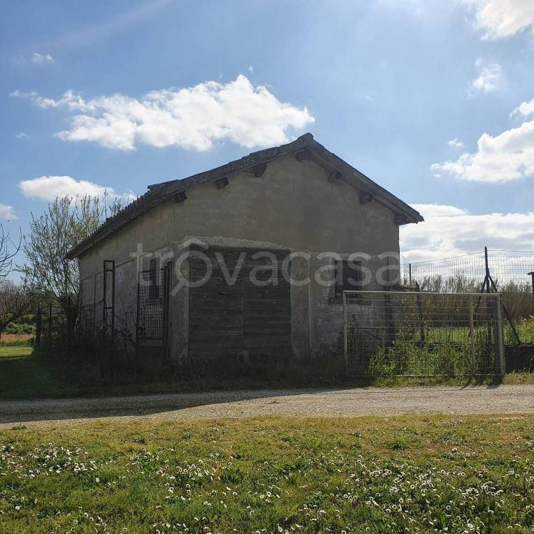 locale commerciale in vendita a Senigallia