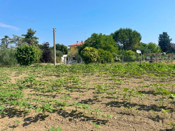 terreno agricolo in vendita a Senigallia