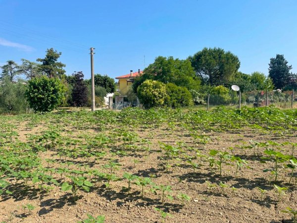 terreno agricolo in vendita a Senigallia in zona Sant'Angelo