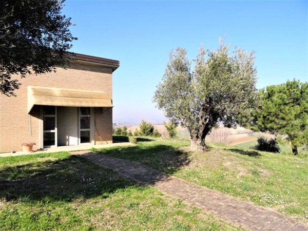terreno agricolo in vendita a Senigallia in zona Sant'Angelo