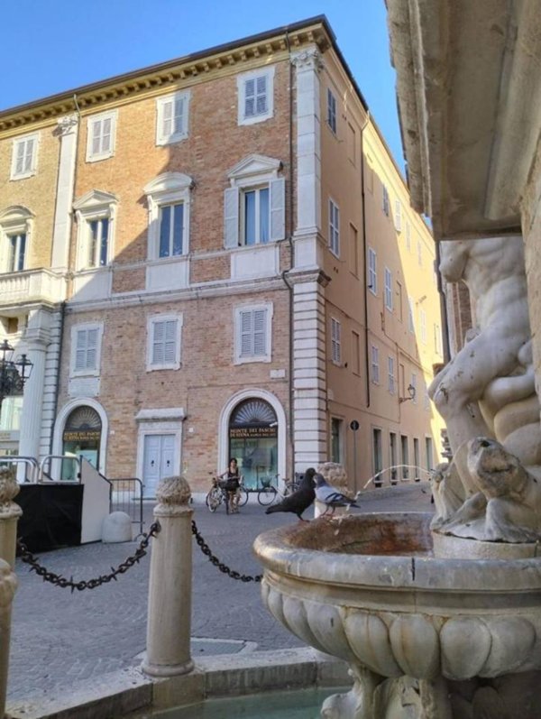 appartamento in vendita a Senigallia