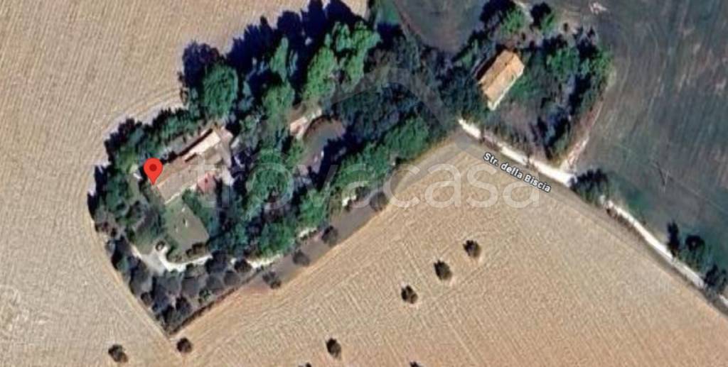 appartamento in vendita a Senigallia in zona Scapezzano