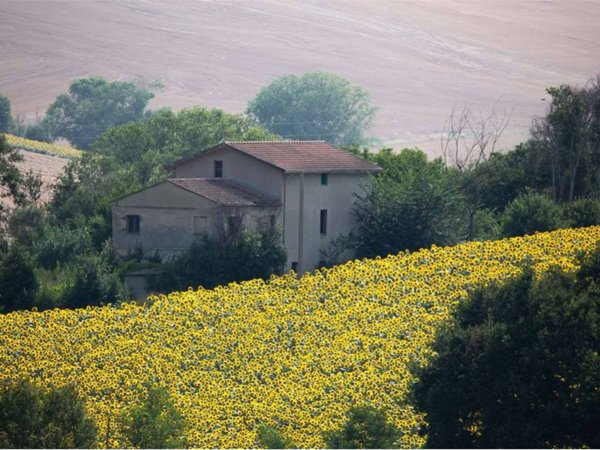 casa indipendente in vendita a Senigallia in zona Sant'Angelo