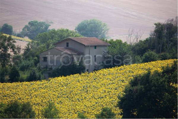 casa indipendente in vendita a Senigallia in zona Montignano