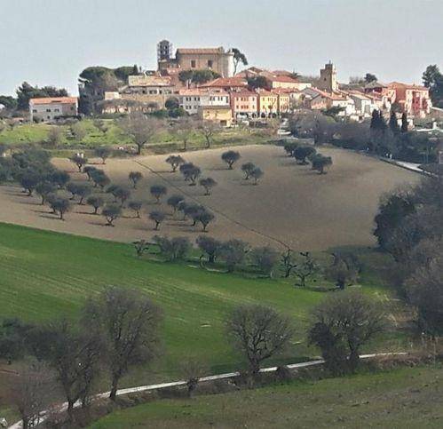 terreno agricolo in vendita a Senigallia in zona Roncitelli