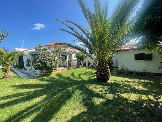 casa indipendente in vendita a Senigallia in zona Marzocca