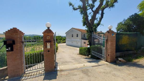 casa indipendente in vendita a Senigallia
