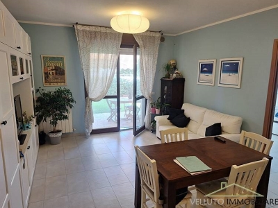 appartamento in vendita a Senigallia
