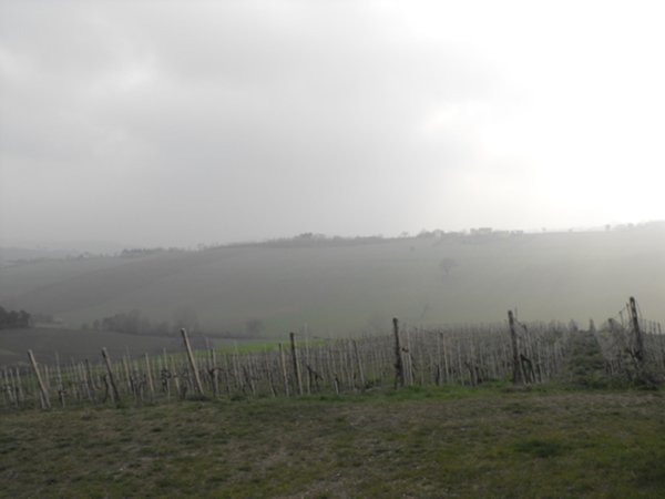casa indipendente in vendita a Senigallia in zona San Silvestro