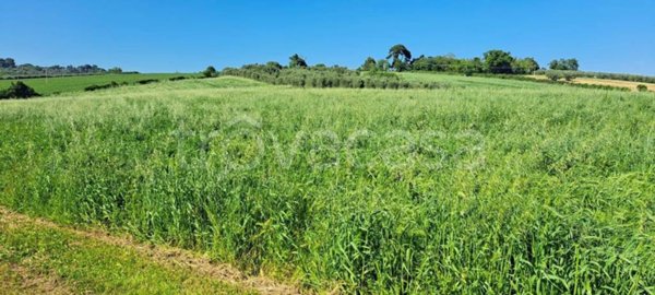 terreno agricolo in vendita a Senigallia in zona Borgo Catena