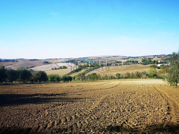 terreno edificabile in vendita a Senigallia in zona Castellaro