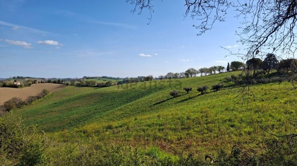 terreno agricolo in vendita a Senigallia in zona Bettolelle