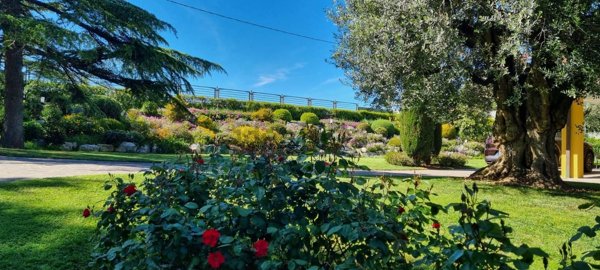 casa indipendente in vendita a Senigallia
