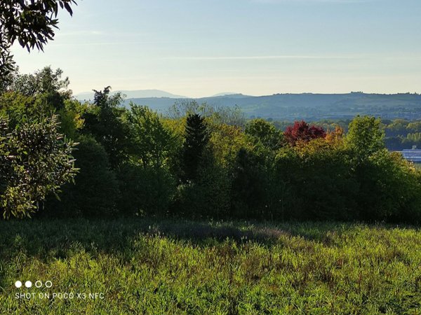 terreno agricolo in vendita a Senigallia in zona Cesano