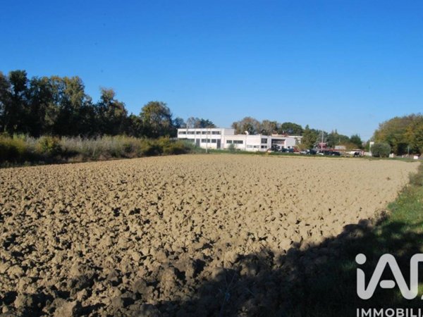 terreno agricolo in vendita a Senigallia