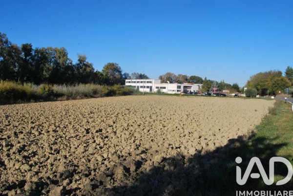 terreno agricolo in vendita a Senigallia