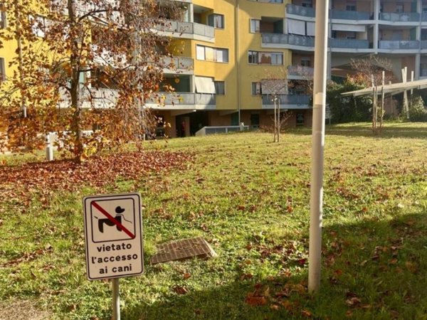 appartamento in vendita a Senigallia