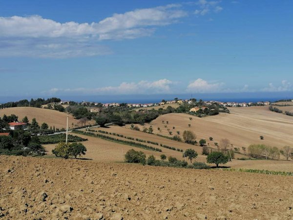 terreno agricolo in vendita a Senigallia in zona Sant'Angelo