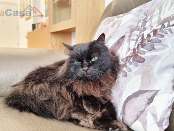 appartamento in vendita a Senigallia in zona Marzocca