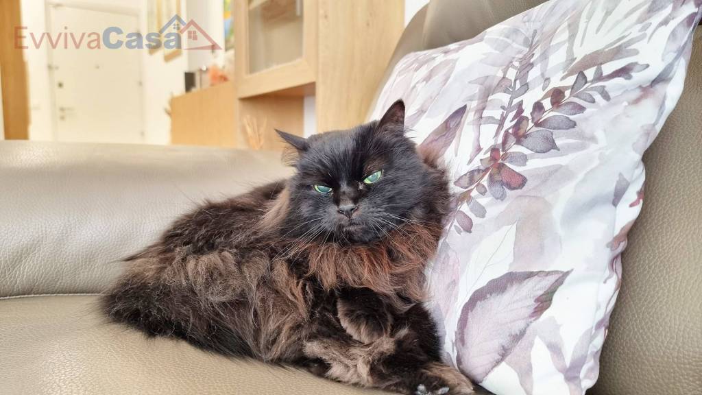 appartamento in vendita a Senigallia in zona Marzocca