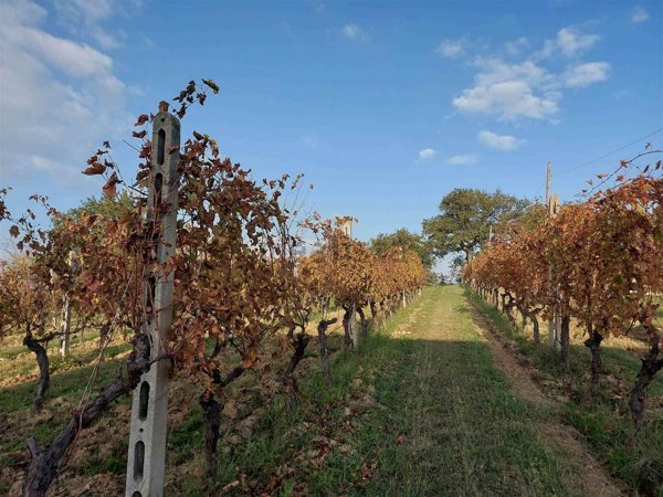 appartamento in vendita a Senigallia in zona Bettolelle