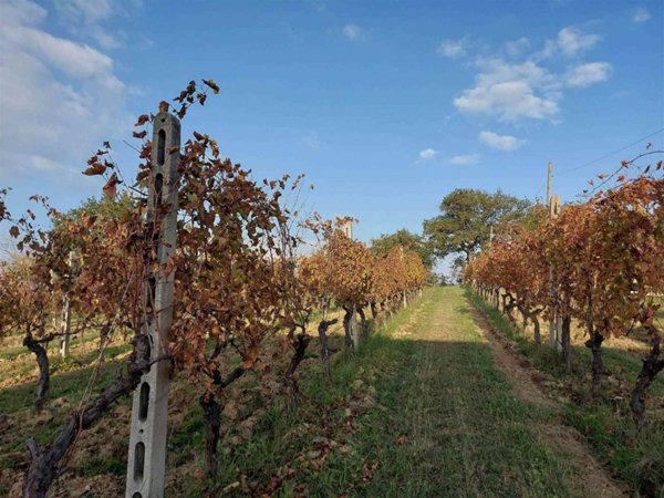 casale in vendita a Senigallia