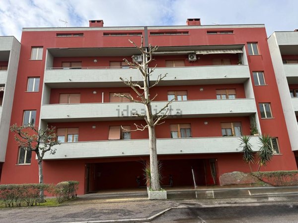 appartamento in vendita a Senigallia