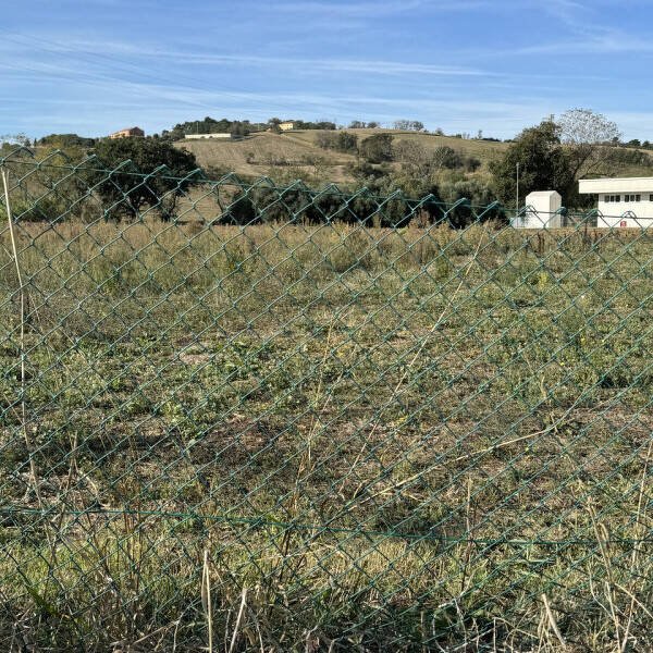 terreno agricolo in vendita a Senigallia