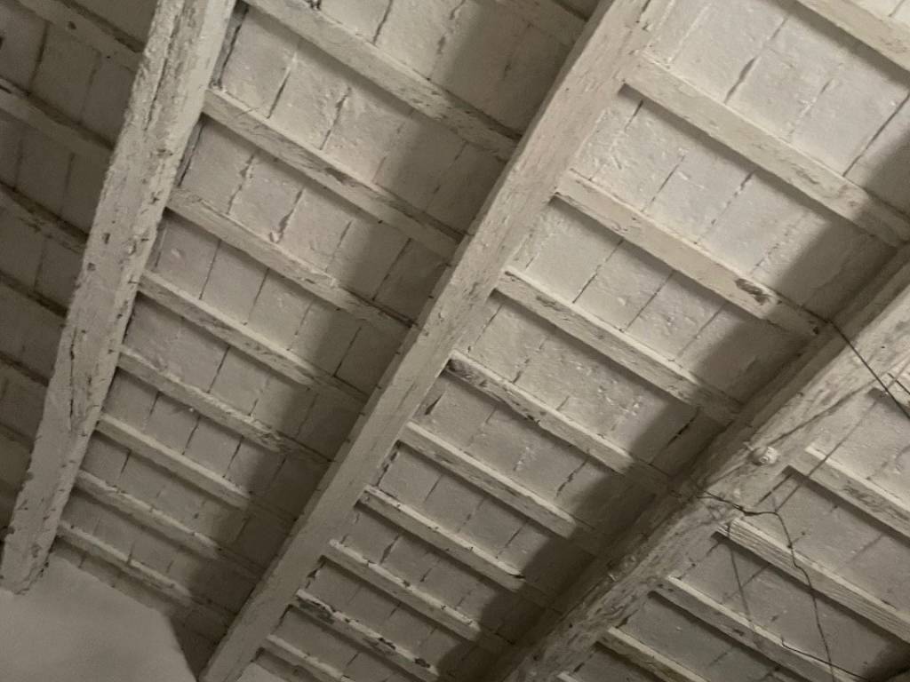 terreno agricolo in vendita a Senigallia in zona Roncitelli