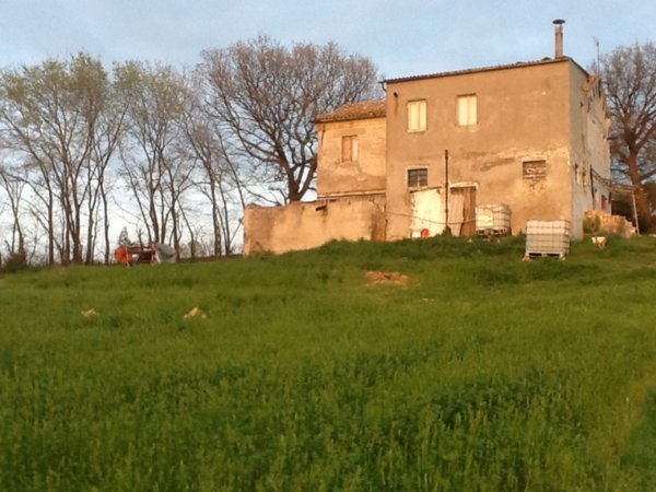 casale in vendita a Senigallia in zona Montignano