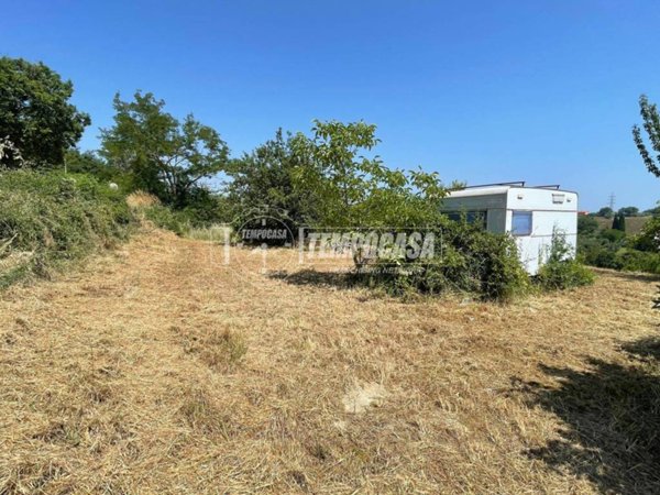 terreno agricolo in vendita a Senigallia in zona Scapezzano