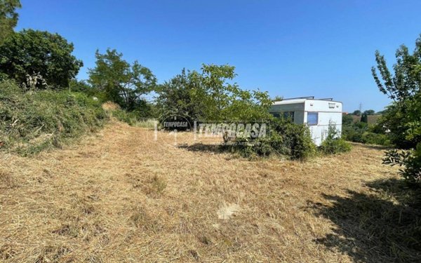 terreno agricolo in vendita a Senigallia in zona Scapezzano