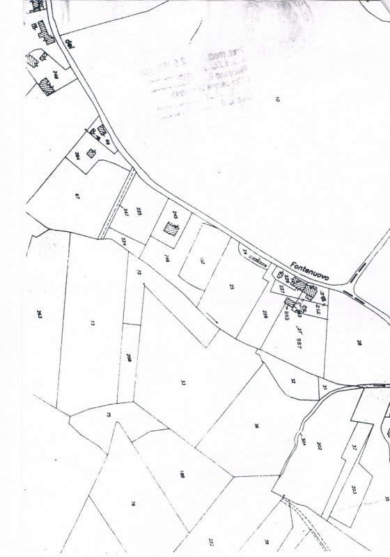 terreno agricolo in vendita a Senigallia in zona Scapezzano