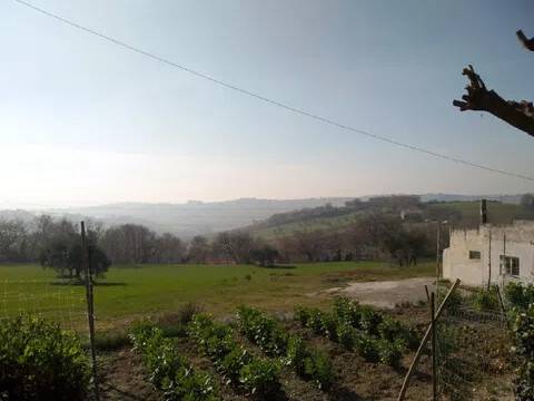 terreno agricolo in vendita a Senigallia in zona Scapezzano